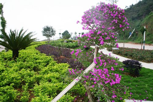 6165cc��ɳ��վ(China)������޹�˾-BinG�ٿ�